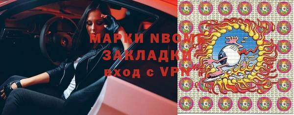 ГАЛЛЮЦИНОГЕННЫЕ ГРИБЫ Осинники
