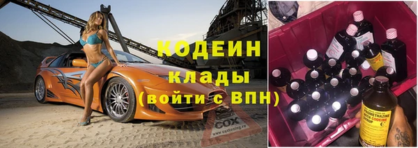 сатива Нягань