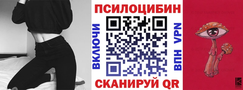 Псилоцибиновые грибы Cubensis  Павловск 
